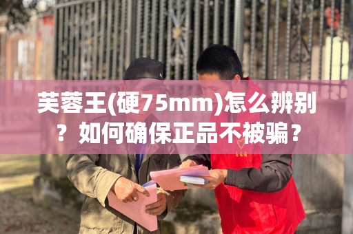 芙蓉王(硬75mm)怎么辨别？如何确保正品不被骗？